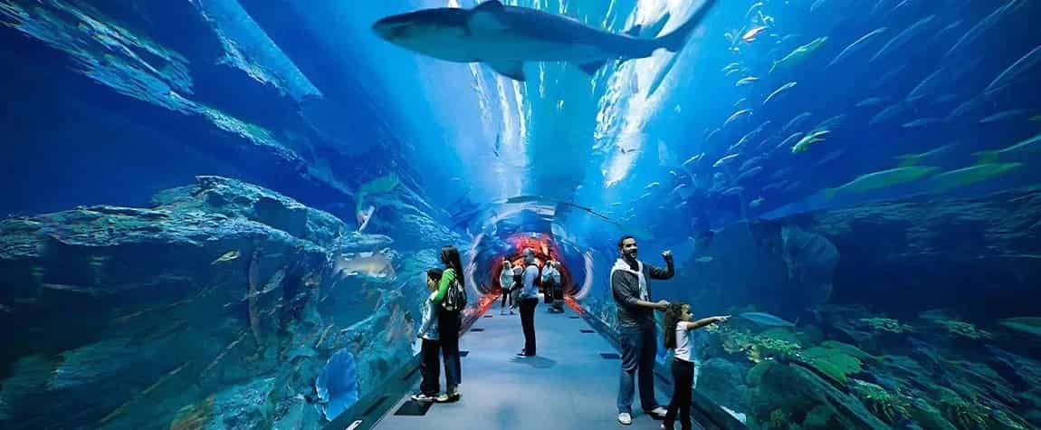 Sharjah Aquarium showcasing marine life
