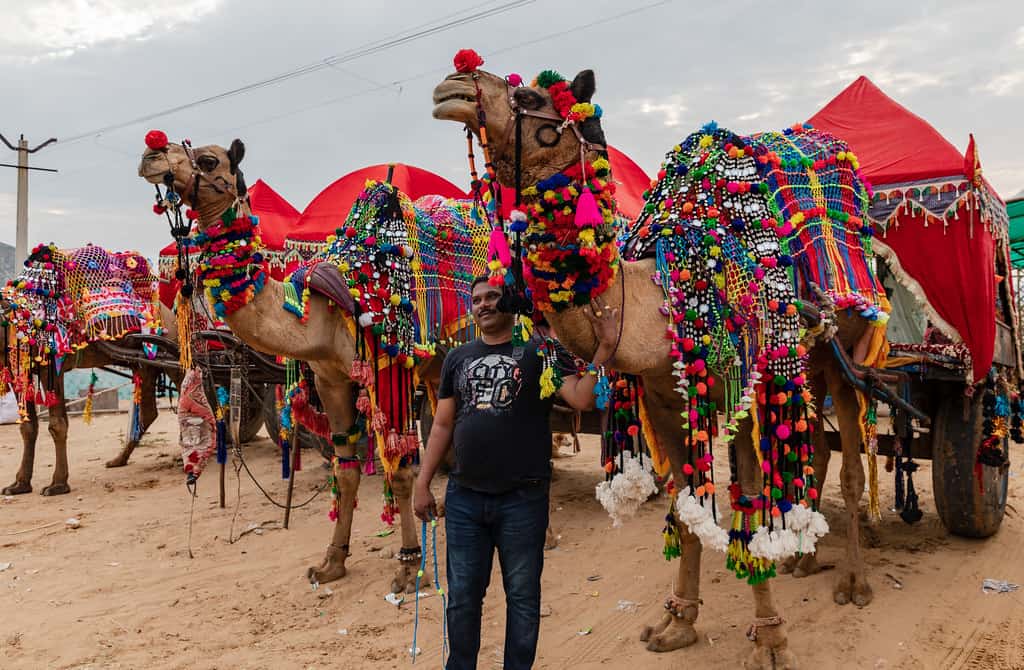 Pushkar Lake
