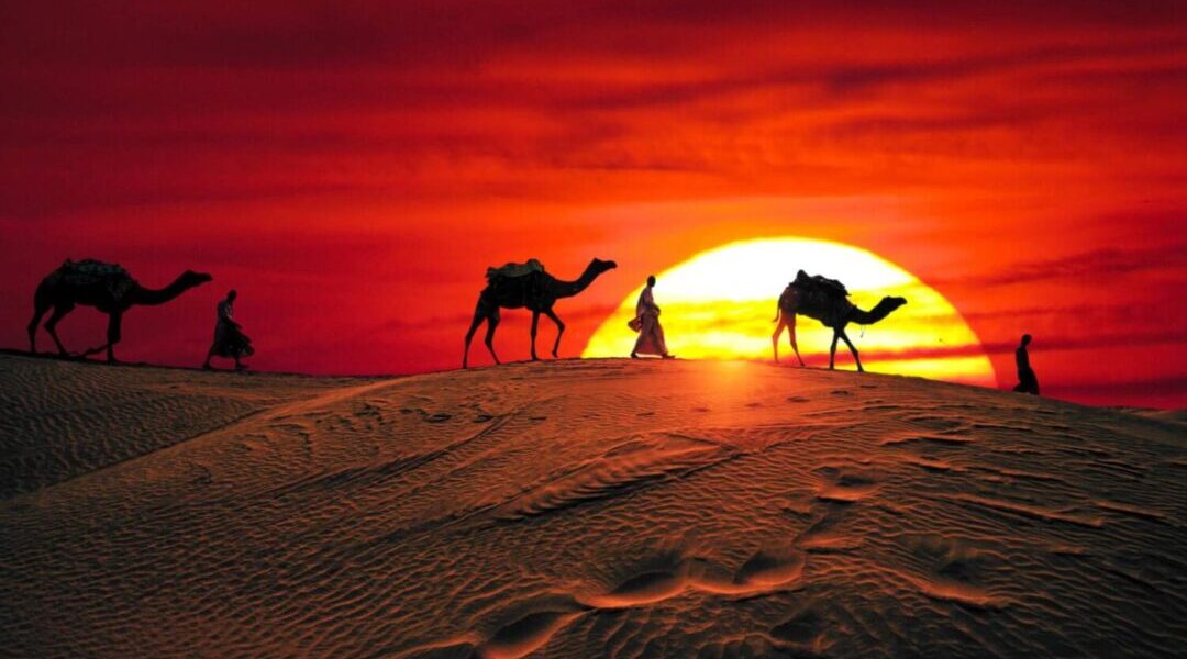 Desert Safari