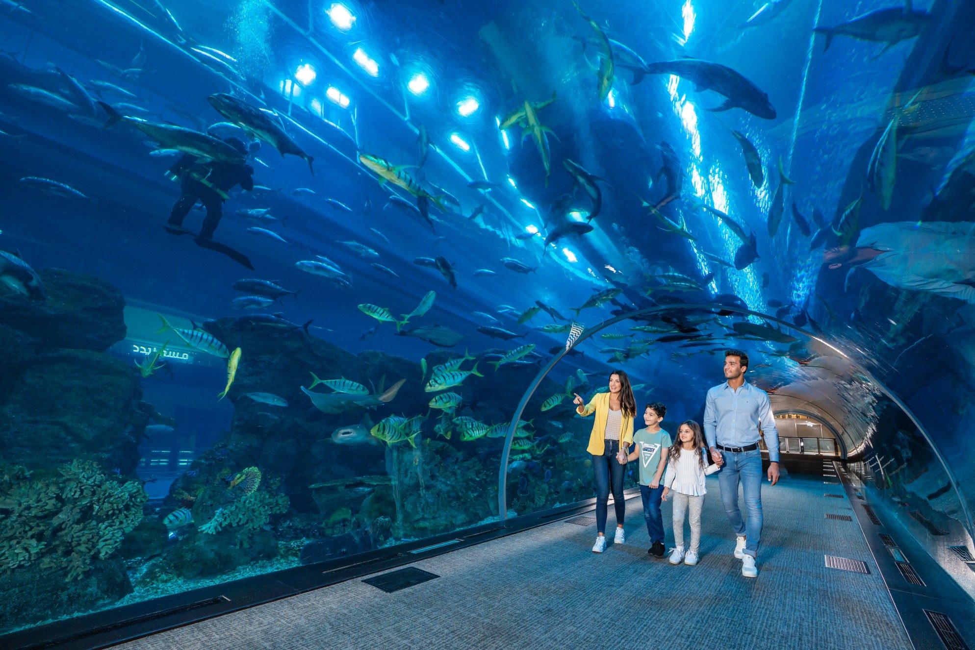 Dubai Aquarium & Underwater Zoo