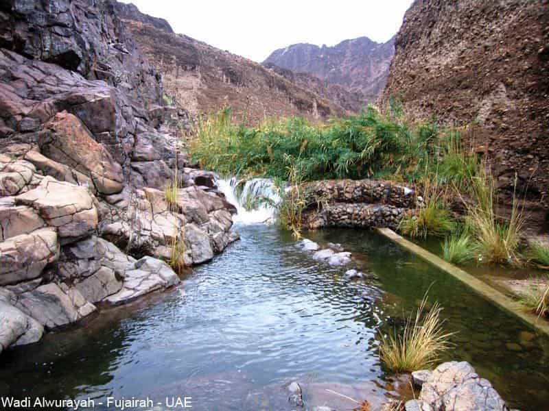 Wadi Wurayah National Park