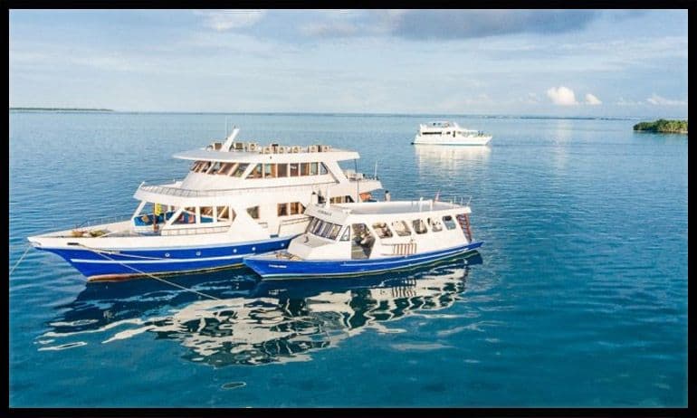 Island Tour