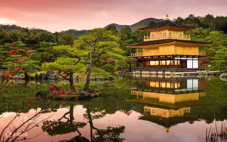 Kyoto Tour