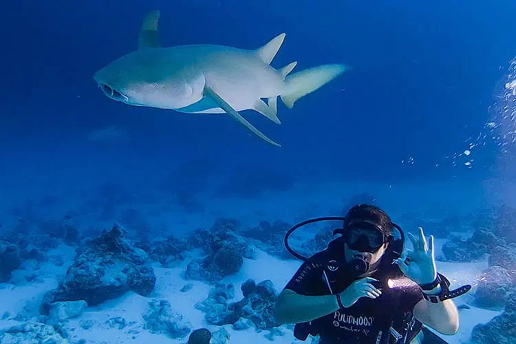 Scuba Diving