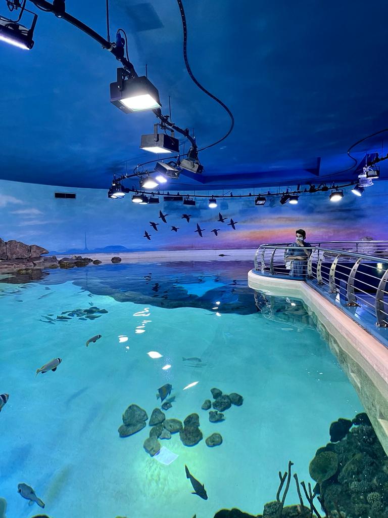 Sharjah Aquarium