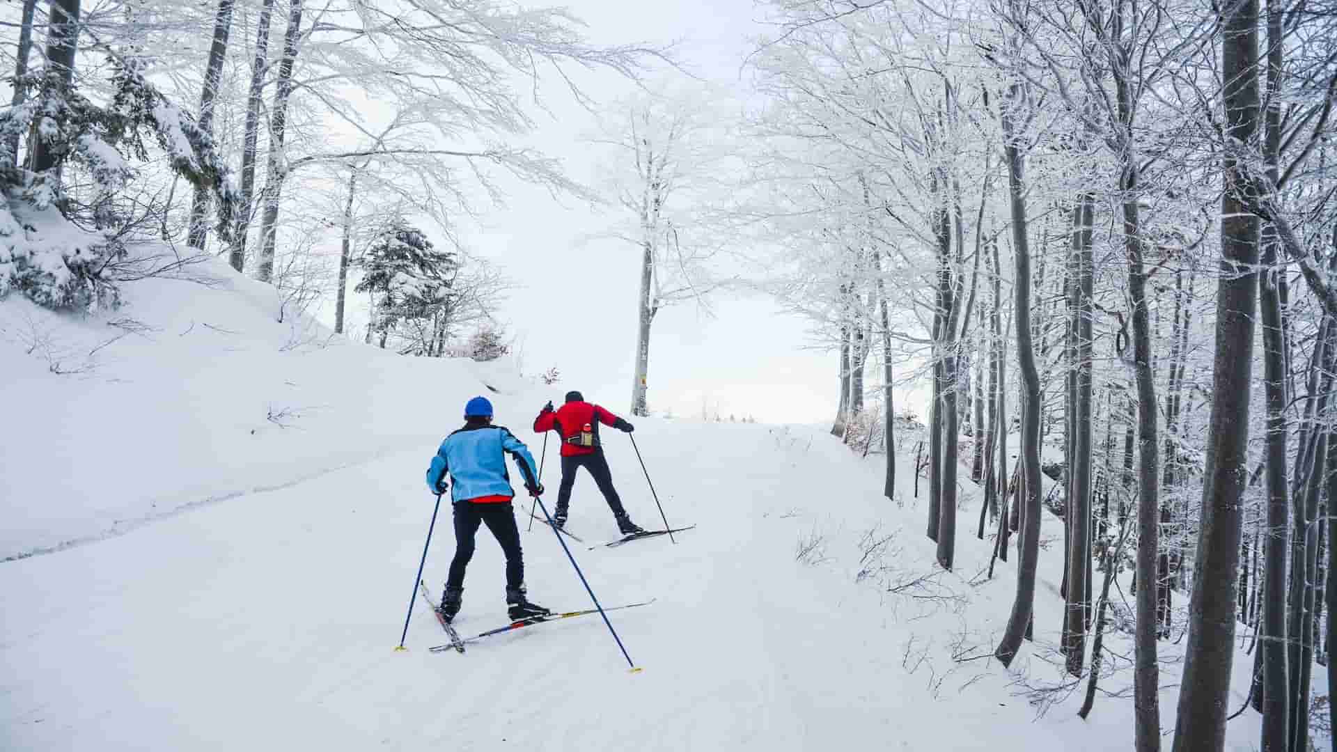 Skiing Korea