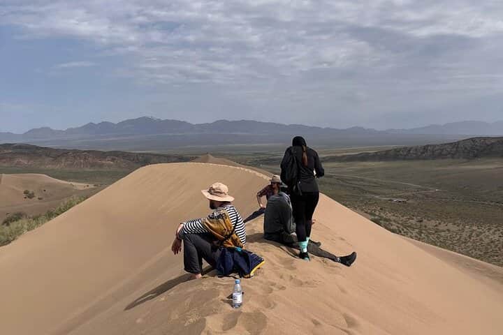 Steppe Safari