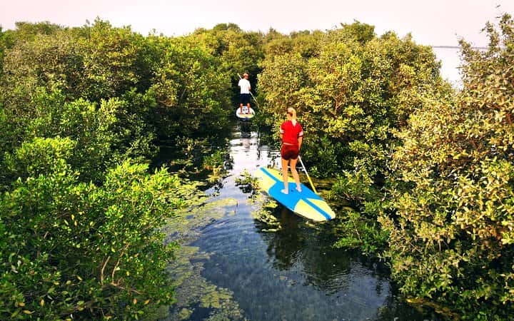UAQ Mangroves